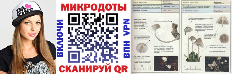 Галлюциногенные грибы MAGIC MUSHROOMS  Полысаево 